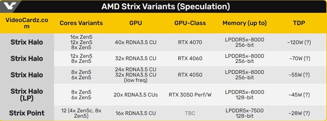 معماری amd zen5