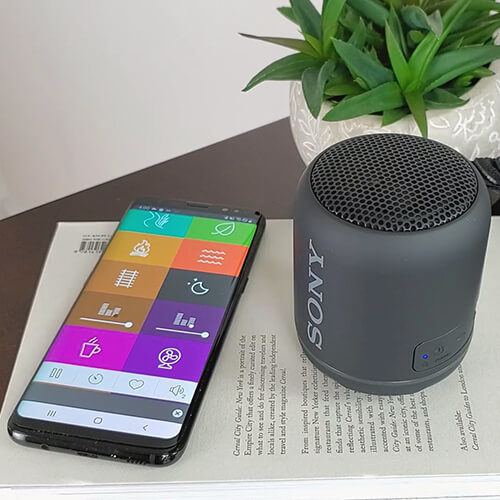 برنامه تنظیم اسپیکر