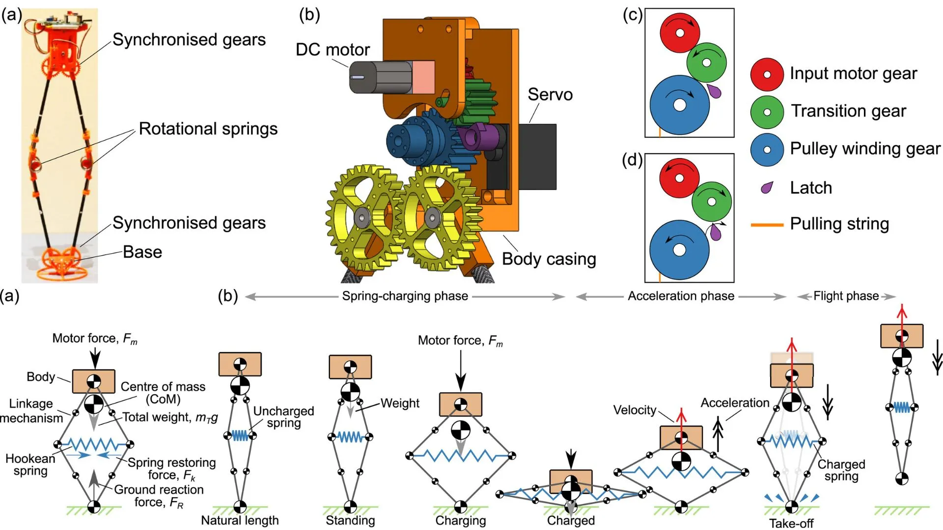 robot-3.webp