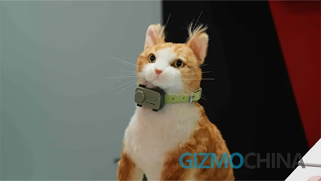 گوشی PetPhone ویژه حیوانات خانگی