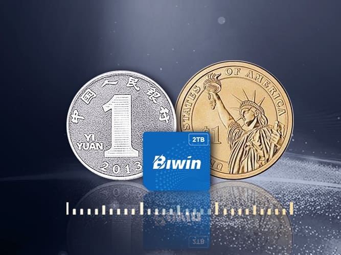 Biwin CL100