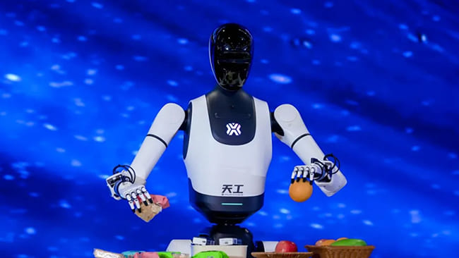 RoboBrain 2.0