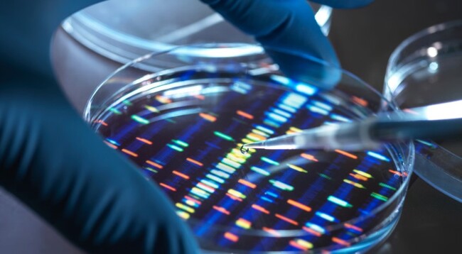 دزدیدن DNA