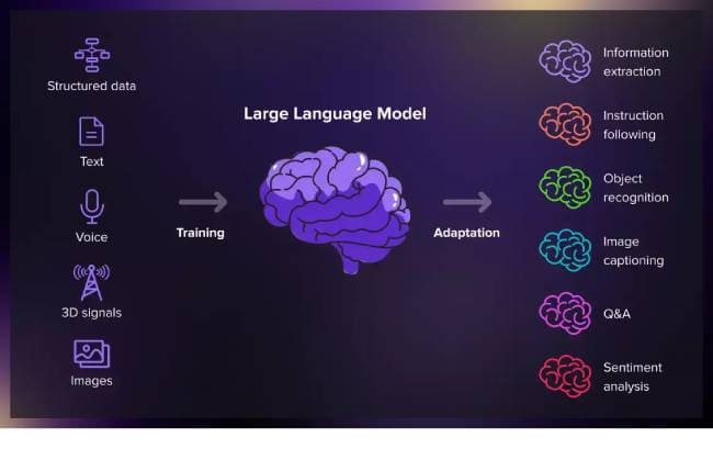 LLM-model.jpg