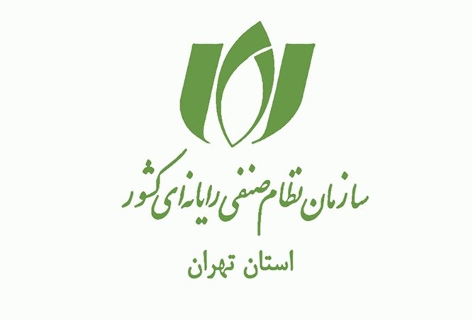 سازمان نظام صنفی رایانه ای کشور