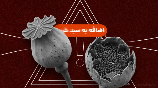 فروش بذر مخدر در اینترنت