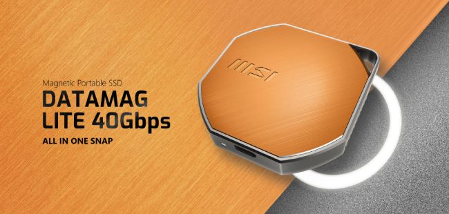 اس اس دی اکسترنال MSI DATAMAG LITE 40Gbps