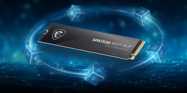 اس اس دی MSI SPATIUM M571 DLP