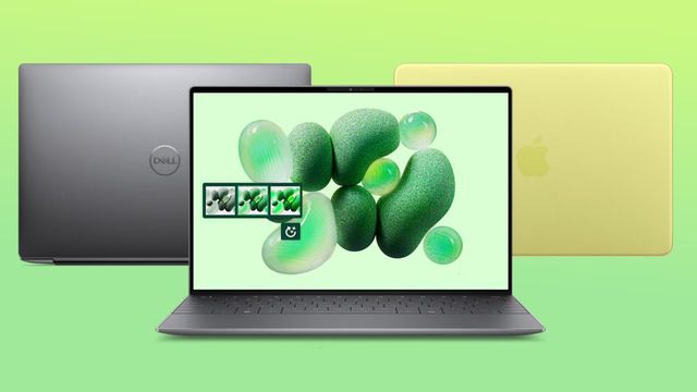 xps-2.jpg