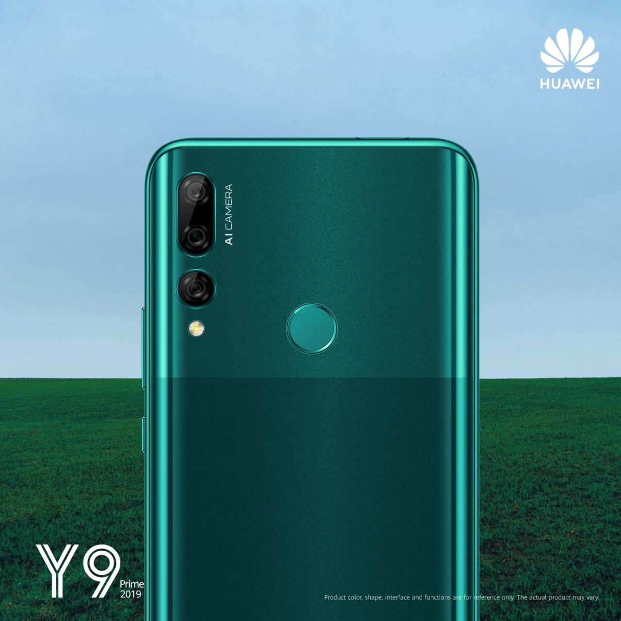 y9p2019-1.jpg