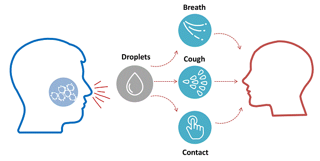 Coronavirus_transmission_diagram.gif