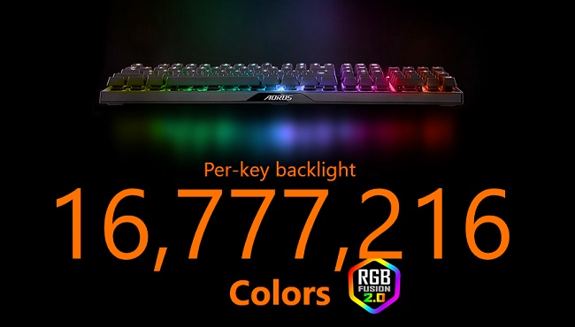 323.jpg