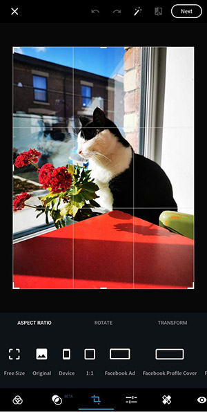 Screenshot_20200305_162037_com.adobe_.psmobile.jpg