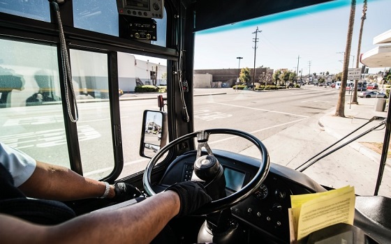 BUS-02.jpg