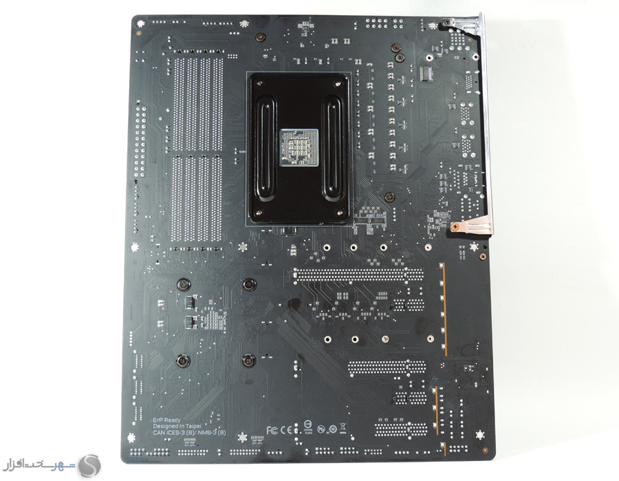 back.jpg