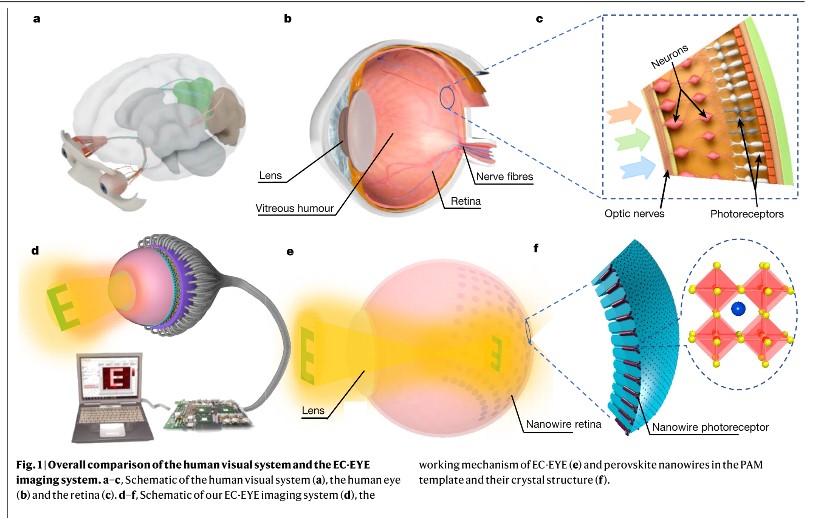 eye-2.jpg