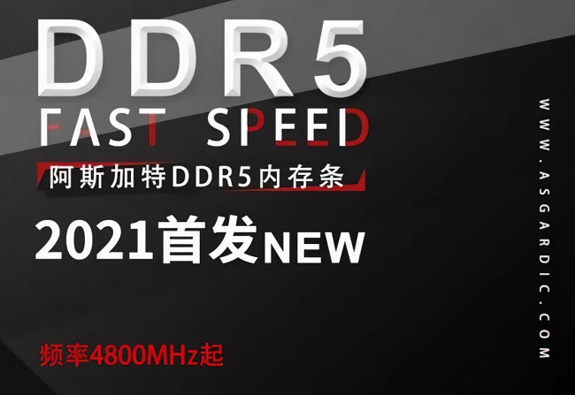 ASGARD-DDR54800-Memory-Alder-Lake-2-1200x826.jpg