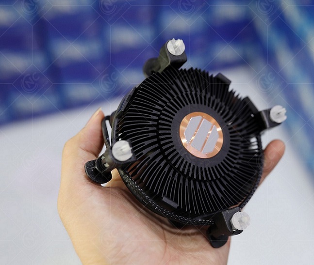 INTELCO-01.jpg
