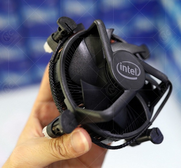 INTELCO-03.jpg