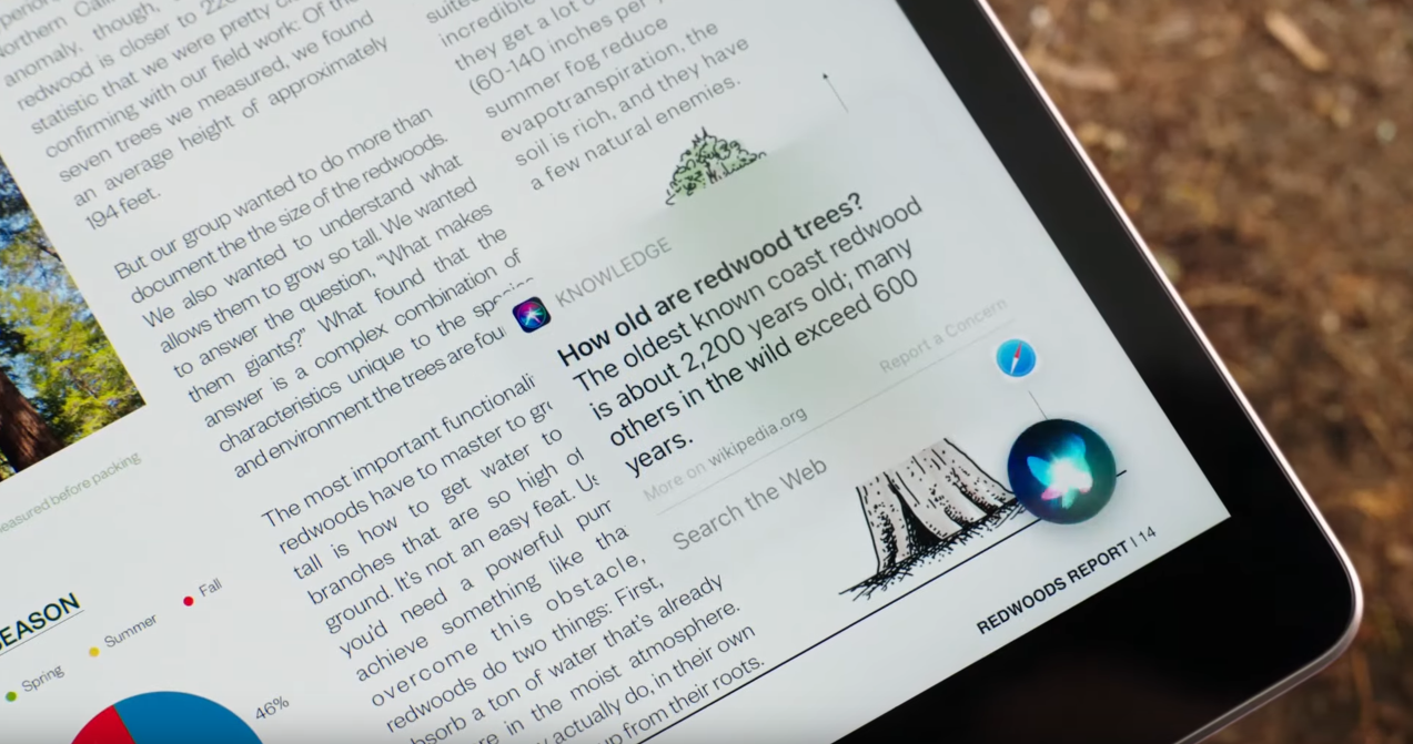 ipados2.png