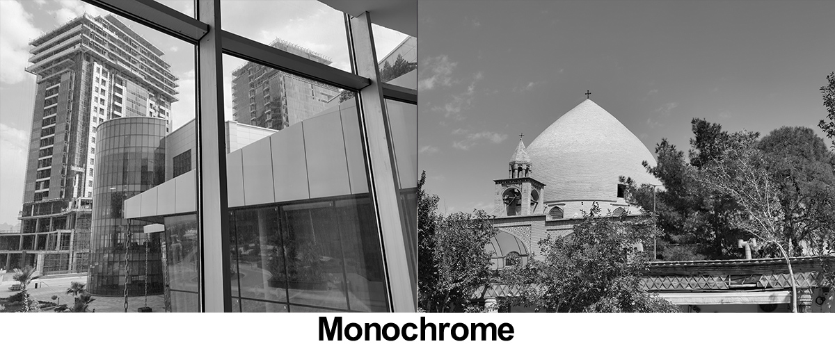 monoch.jpg