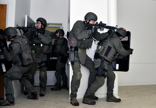 swattingsmarthome.jpg
