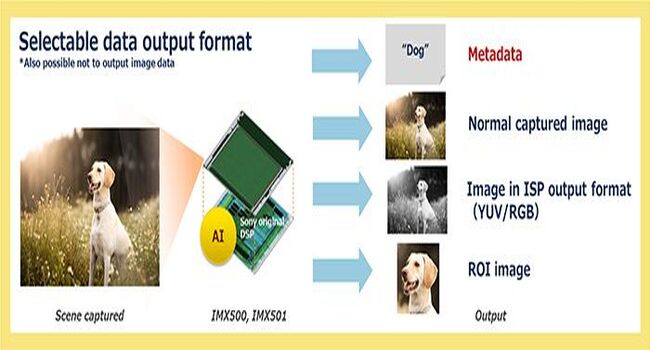 sony intelligent sensor 2.jpg