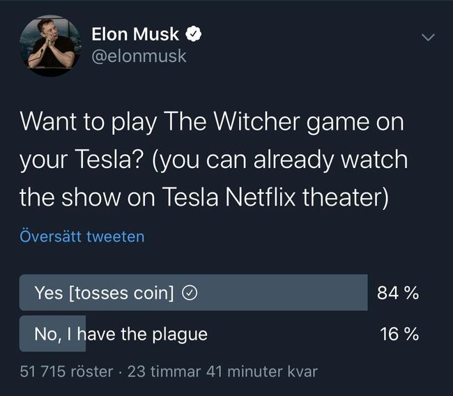 elon-witcher.jpg
