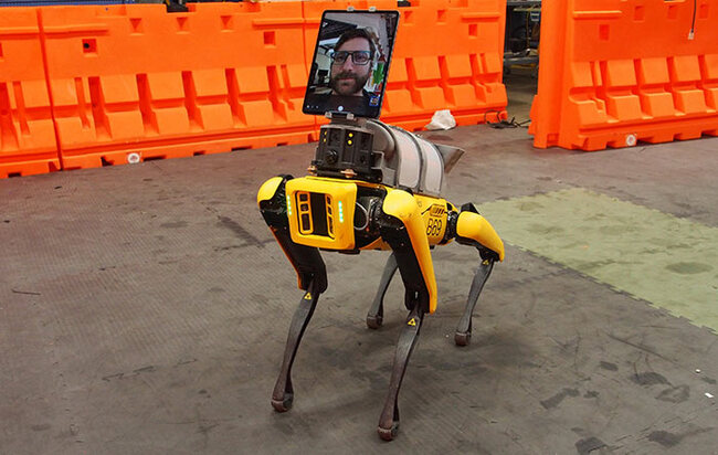 spot-robot.jpg
