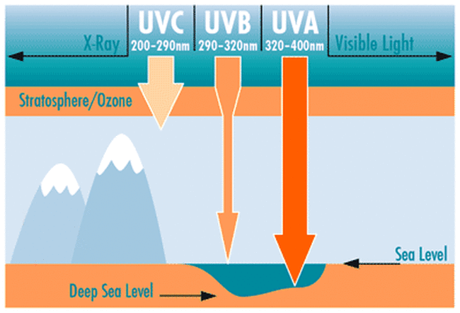 uv-rays_wavelength_spectrum_.gif