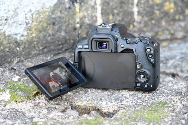 250d.jpg