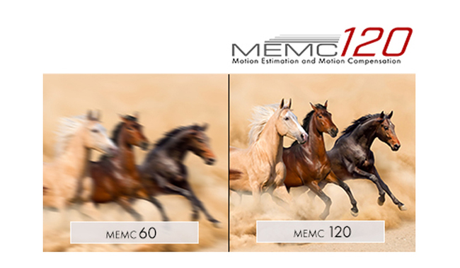 MEMC_120.jpg