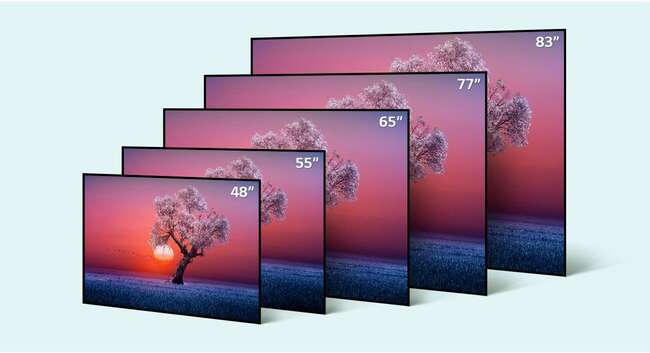 lg2021oledsizes.jpg