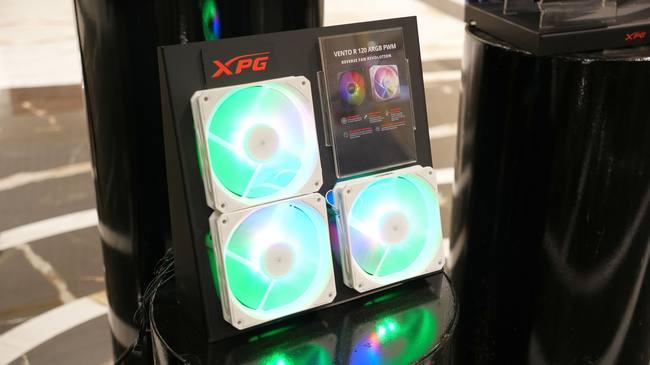 AVANG-XPG-36