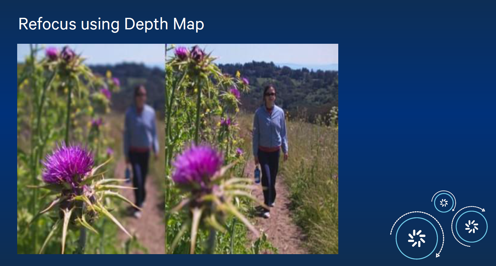 Dempt Map