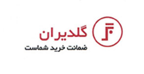 شرکت گارانتی گلدیران